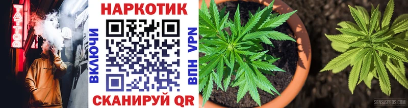 Где купить Сальск СК Лсд 25 Cocaine Меф