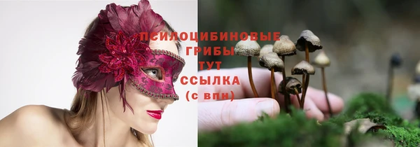 прущая мука Армянск