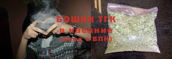 гашик Алексин