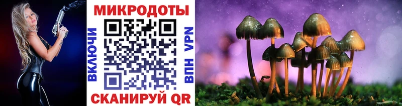 Галлюциногенные грибы Cubensis Сальск